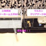【徹底比較!】イージーホームエボ80とマルカンクリアケージ80