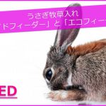 うさぎ牧草入れ「ワイドフィーダー」と「エコフィーダー」の違いとは