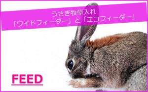 うさぎ牧草入れ「ワイドフィーダー」と「エコフィーダー」の違いとは