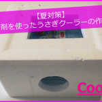 【夏対策】4STEP!保冷剤を使ったうさぎクーラーの作り方