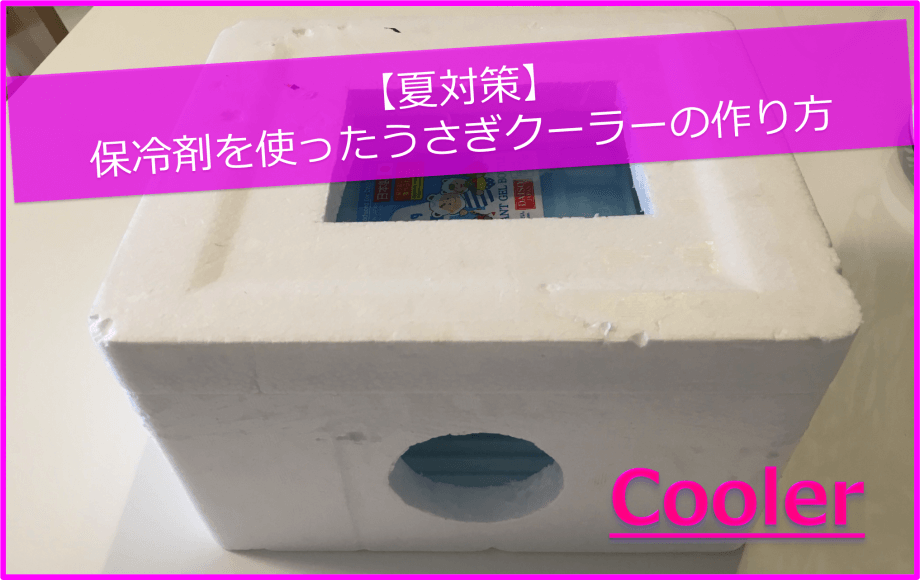 【夏対策】4STEP！保冷剤を使ったうさぎクーラーの作り方