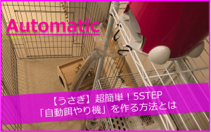 【うさぎ】超簡単!5STEPで「自動餌やり機」を作る方法とは