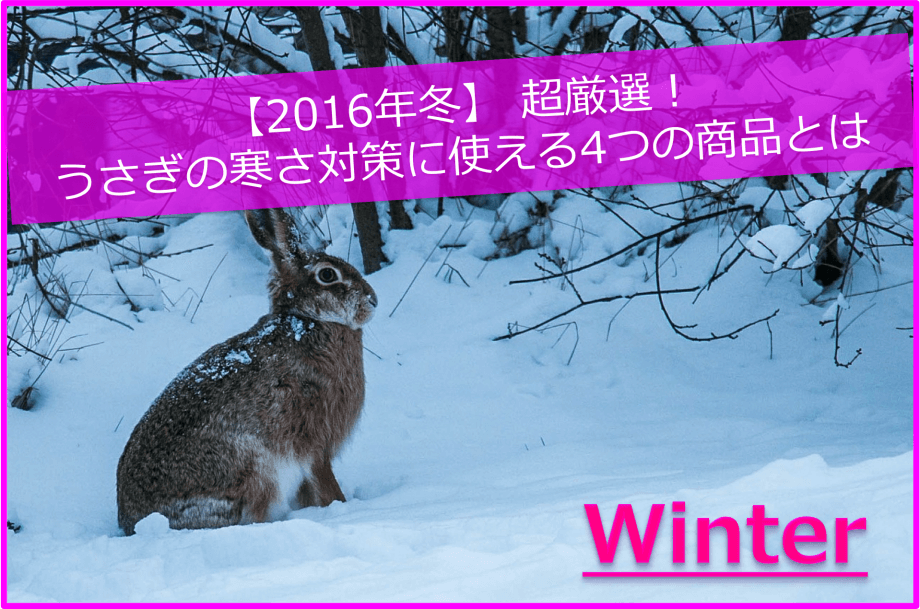 【2016年冬】 超厳選！うさぎの寒さ対策に使える4つの商品とは