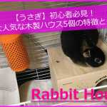 【うさぎ】初心者必見!大人気な木製ハウス5個の特徴とは